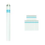 Multipack 25x Philips MASTER TL-D Secura 58W - 840 Cool White | 150cm Multipack 25x Philips MASTER TL-D Secura 58W - 840 Cool White | 150cm