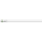 Philips MASTER LED Tube T8 (EM/Mains) Ultra Efficiency 17.6W 3700lm - 865 Daylight | 150cm - Replaces 58W Philips MASTER LED Tube T8 (EM/Mains) Ultra Efficiency 17.6W 3700lm - 865 Daylight | 150cm - Replaces 58W